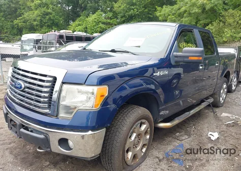 2010 Ford F-150 Fx4/Harley-Davidson/King Ranch/Lariat/Platinum/Xl/Xlt z USA, uszkodzony, nr VIN 1FTFW1EV6AFC74157